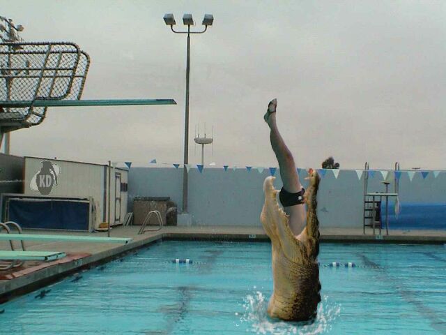 Photoshop Design by Kloakin__Device for DesignCrowd (Community Contests) | Design #9162886