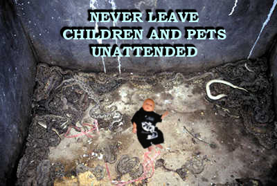 Photoshop Design by Old__Grendel for DesignCrowd (Community Contests) | Design #9164040