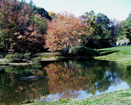 Design Photoshop par Stephen1177 pour DesignCrowd (Community Contests) | Design #9163891