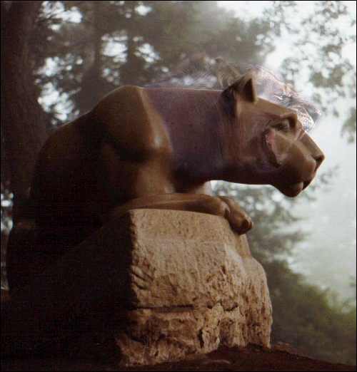 Photoshop Design by nautiq for DesignCrowd (Community Contests) | Design #9163908