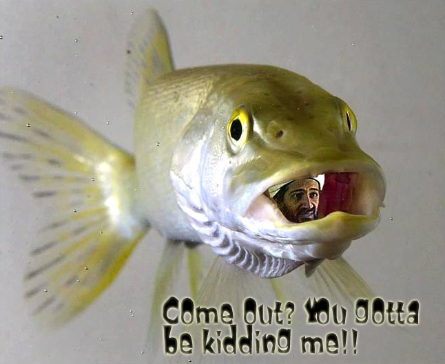 Photoshop Design by Anton for DesignCrowd (Community Contests) | Design #9163280