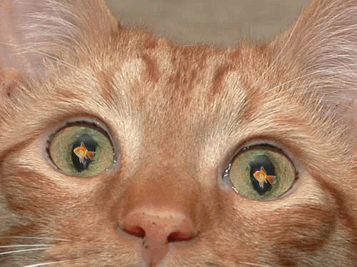 Design Photoshop par TioLoco pour DesignCrowd (Community Contests) | Design #9163326