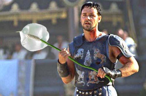 Photoshop Design by Anton for DesignCrowd (Community Contests) | Design #9163152