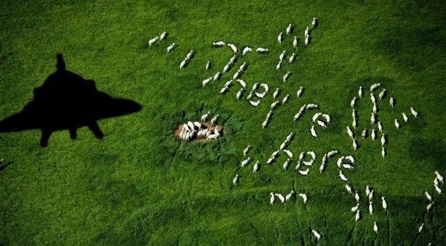 Photoshop Design by Bigpeeler for DesignCrowd (Community Contests) | Design #9161560