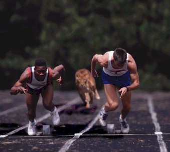 Photoshop-Design von Slime für DesignCrowd (Community Contests) | Design #9161955