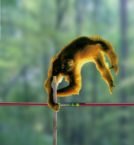 Photoshop Design by hoilextreme for DesignCrowd (Community Contests) | Design #9162063