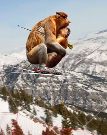 Photoshop Design by Bigpeeler for DesignCrowd (Community Contests) | Design #9162031