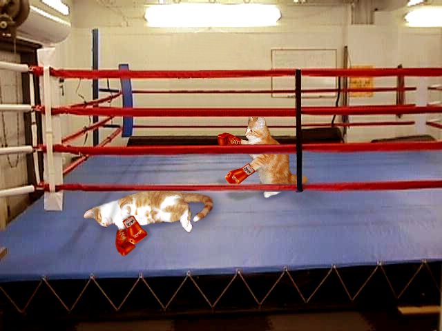 Photoshop Design by mark24 for DesignCrowd (Community Contests) | Design #9162047