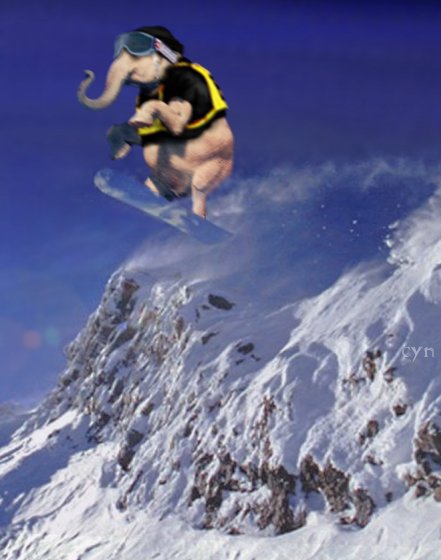 Photoshop Design by Cyn for DesignCrowd (Community Contests) | Design #9162148