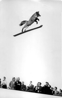 Design Photoshop par Zilly pour DesignCrowd (Community Contests) | Design #9162097