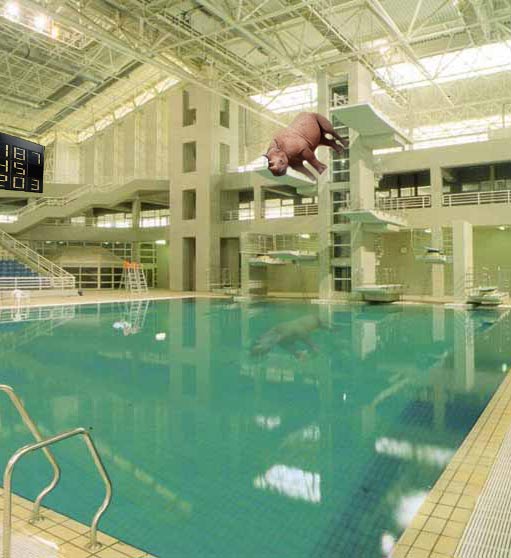 Design Photoshop par Arm4000 pour DesignCrowd (Community Contests) | Design #9162224