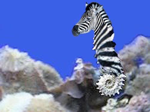 Photoshop-Design von Ranger_Rick für DesignCrowd (Community Contests) | Design #9159937