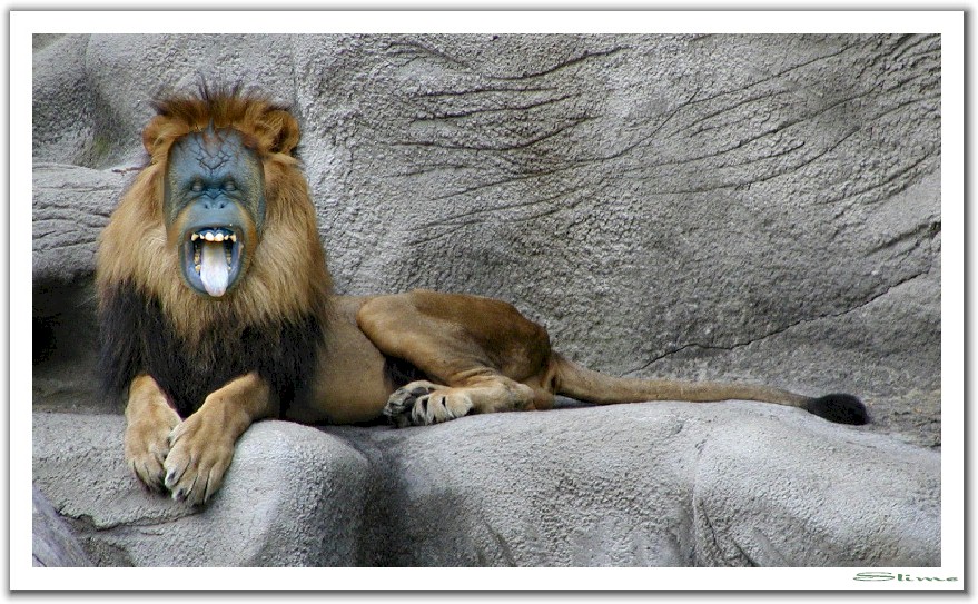 Photoshop-Design von Slime für DesignCrowd (Community Contests) | Design #9160077