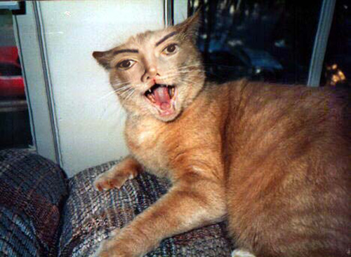 Design Photoshop par sophocha pour DesignCrowd (Community Contests) | Design #9160041