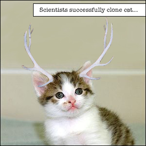 Photoshop Design by Mr_WhYte for DesignCrowd (Community Contests) | Design #9160048