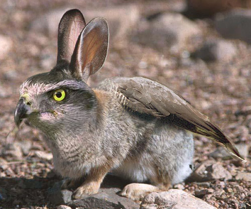 Diseño de Photoshop por IronKite para DesignCrowd (Community Contests) | Diseño #9160226