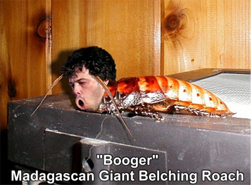 Photoshop Design by aarkieboy for DesignCrowd (Community Contests) | Design #9160153