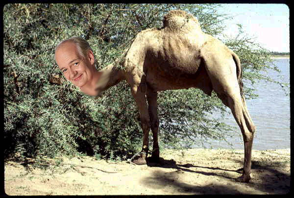 Photoshop Design by Cataphract for DesignCrowd (Community Contests) | Design #9160157