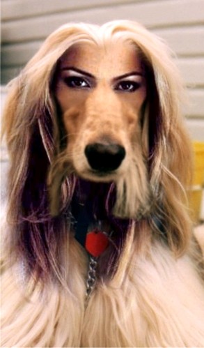 Photoshop Design by aarkieboy for DesignCrowd (Community Contests) | Design #9163139