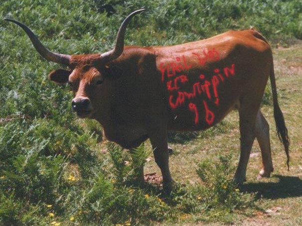 Photoshop Design by Flail for DesignCrowd (Community Contests) | Design #9159731