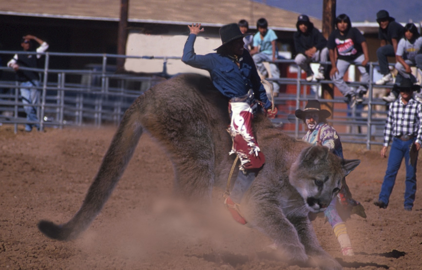 Diseño de Photoshop por MoonGrrrl para DesignCrowd (Community Contests) | Diseño #9162964