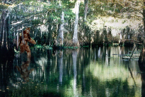 Photoshop-Design von Rocko für DesignCrowd (Community Contests) | Design #9163665