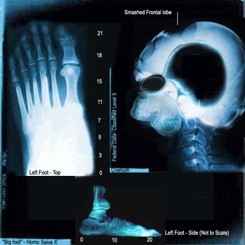 Photoshop Design by Arm4000 for DesignCrowd (Community Contests) | Design #9163669