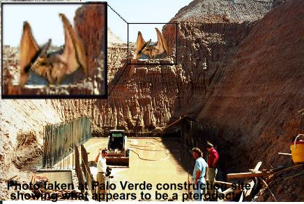 Photoshop-Design von Redbull_UK für DesignCrowd (Community Contests) | Design #9163699