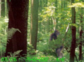 Photoshop Design by FroggyFrenchMan for DesignCrowd (Community Contests) | Design #9163852