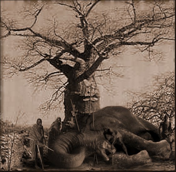 Photoshop Design by Cyn for DesignCrowd (Community Contests) | Design #9163876