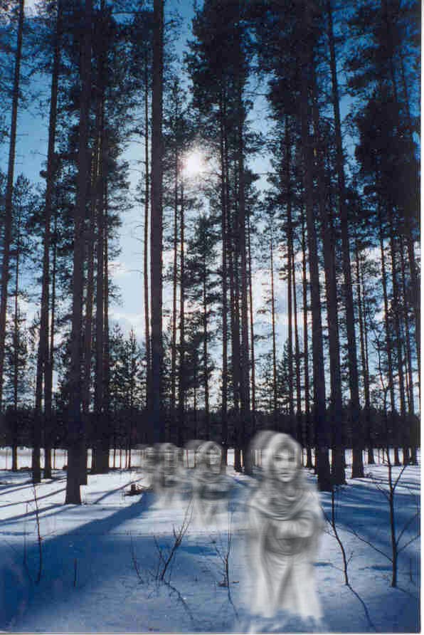 Photoshop Design by Flail for DesignCrowd (Community Contests) | Design #9163912