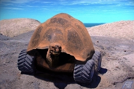 Photoshop-Design von Rocko für DesignCrowd (Community Contests) | Design #9164675