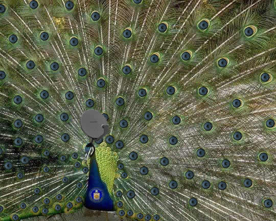 Diseño de Photoshop por mrbuddylee para DesignCrowd (Community Contests) | Diseño #9164725