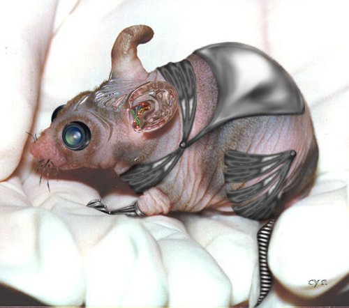 Diseño de Photoshop por Cyn para DesignCrowd (Community Contests) | Diseño #9164799