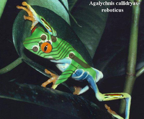 Photoshop Design by alienmagic for DesignCrowd (Community Contests) | Design #9164752