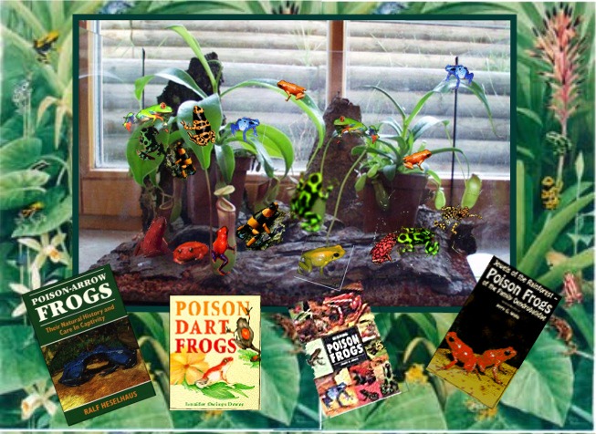 Photoshop Design by Corky for DesignCrowd (Community Contests) | Design #9164782