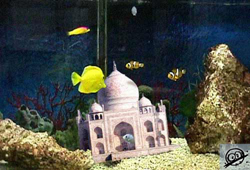 Photoshop-Design von steveo für DesignCrowd (Community Contests) | Design #9161925