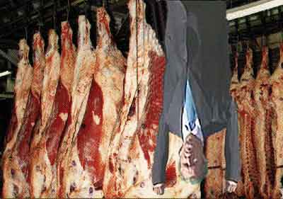 Photoshop Design by Einar for DesignCrowd (Community Contests) | Design #9161690