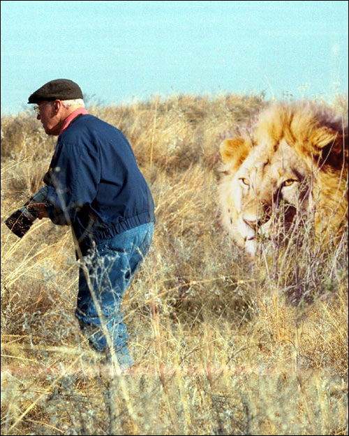 Photoshop Design by nautiq for DesignCrowd (Community Contests) | Design #9163432