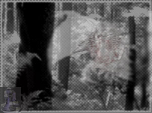 Photoshop Design by Sacrificial__Pawn for DesignCrowd (Community Contests) | Design #9163466