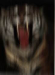 Photoshop Design by Wingnut for DesignCrowd (Community Contests) | Design #9163542