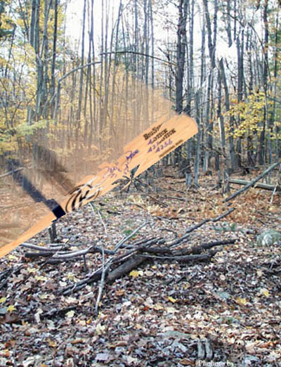 Photoshop-Design von Ranger_Rick für DesignCrowd (Community Contests) | Design #9163480