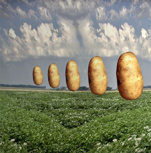 Diseño de Photoshop por Stephen1177 para DesignCrowd (Community Contests) | Diseño #9161789