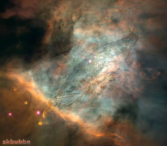 Photoshop Design by skbubba for DesignCrowd (Community Contests) | Design #9161139