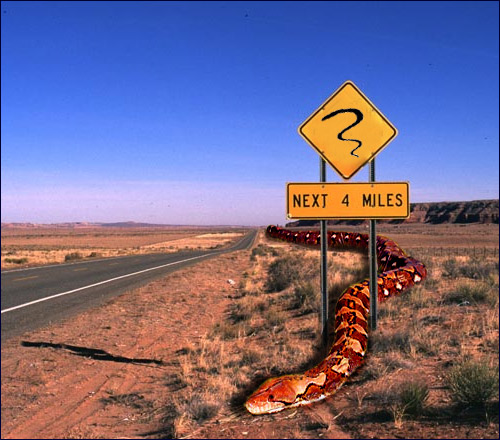 Photoshop Design by nautiq for DesignCrowd (Community Contests) | Design #9162016