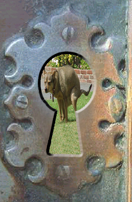 Diseño de Photoshop por Xarddrax para DesignCrowd (Community Contests) | Diseño #9164128