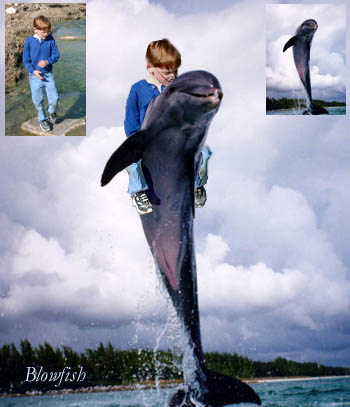 Photoshop Design by Blowfish for DesignCrowd (Community Contests) | Design #9163755