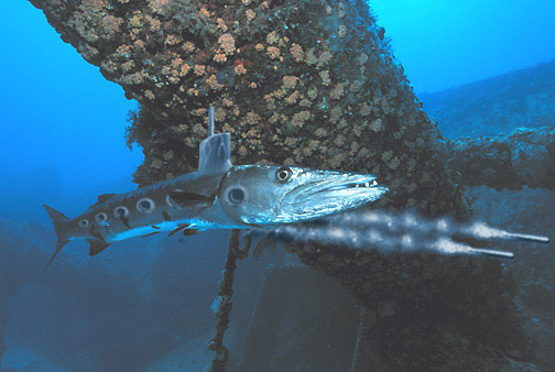 Diseño de Photoshop por fRedline para DesignCrowd (Community Contests) | Diseño #9163816