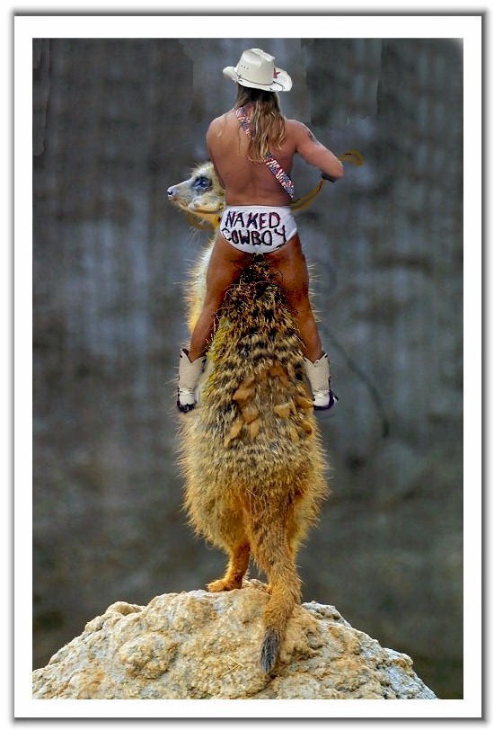 Photoshop Design by Slime for DesignCrowd (Community Contests) | Design #9163845