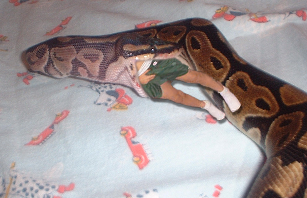 Photoshop Design by sophocha for DesignCrowd (Community Contests) | Design #9161501